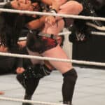 AJ Lee - Famous Author