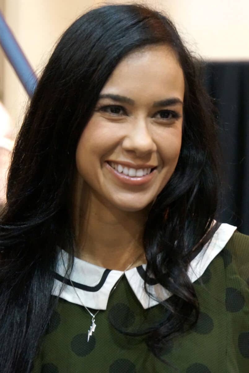 AJ Lee net worth in Sports & Athletes category