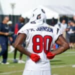 Andre Johnson - Famous American Football Player