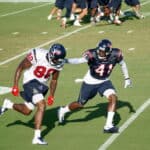 Andre Johnson - Famous American Football Player