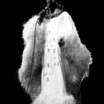 Celia Cruz - Famous Singer