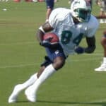 Chris Chambers - Famous American Football Player