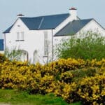 Daniel O'Donnell - Famous Singer