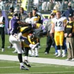 Hines Ward - Famous American Football Player