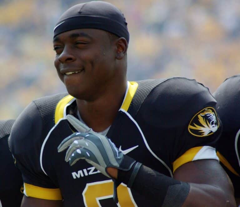 Jeremy Maclin - Famous NFL Player
