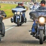 Johnny Dare - Famous Actor