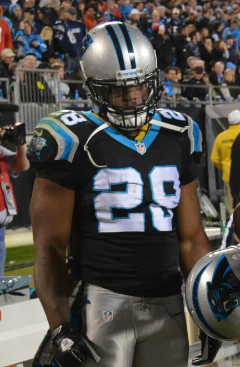 Jonathan Stewart - Famous American Football Player