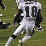 Jeremy Maclin - Famous NFL Player