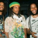 Stephen Marley - Famous Artist