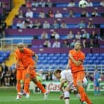 Ron Vlaar - Famous Football Player