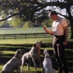 Nolan Ryan - Famous Baseball Player