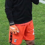 Pepe Reina - Famous Football Player