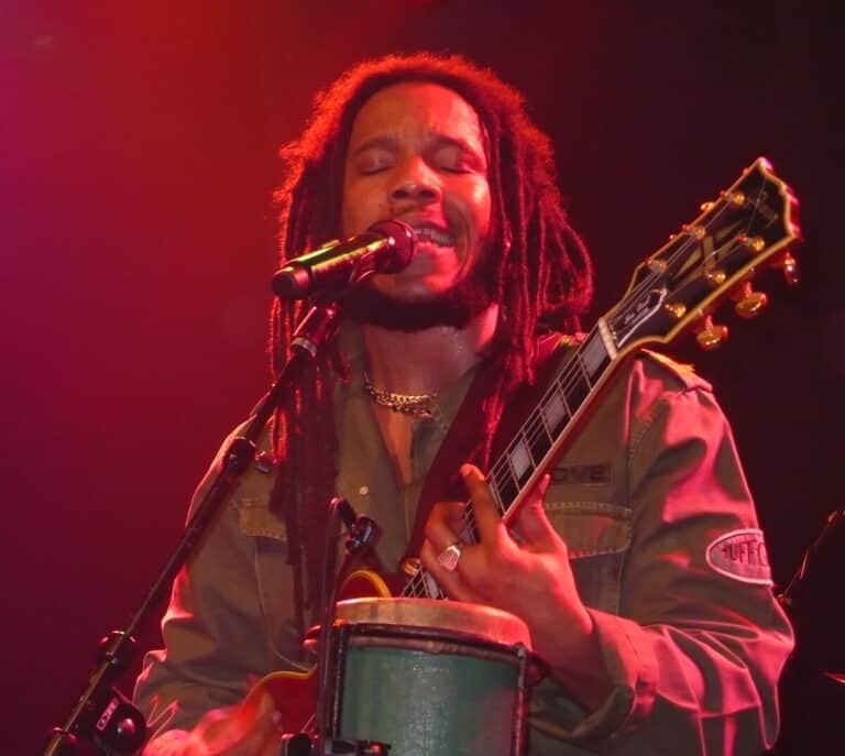 Stephen Marley - Famous Singer