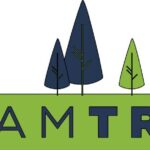 MrBeast - Famous Youtuber