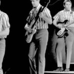 Brian Wilson - Famous Musician