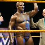 Bruno Sammartino - Famous Wrestler