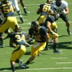 Shane Vereen - Famous American Football Player