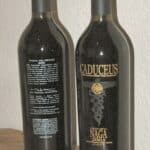 Maynard James Keenan - Famous Actor