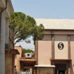 Federico Fellini - Famous Screenwriter