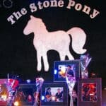 Clarence Clemons - Famous Musician