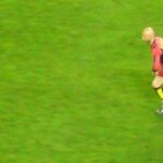 Fabien Barthez - Famous Football Player