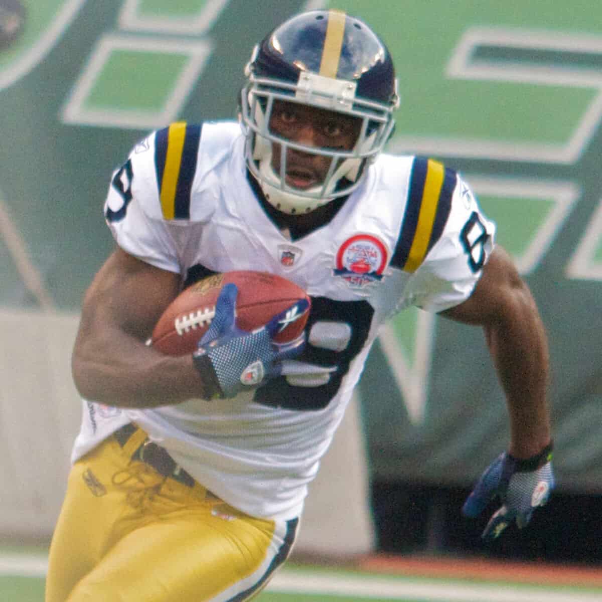 Jerricho Cotchery net worth in NFL category