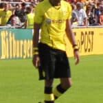 Pierre-Emerick Aubameyang - Famous Soccer Player