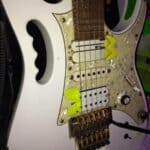 Steve Vai - Famous Beekeeper