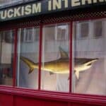 Damien Hirst - Famous Contemporary Artist