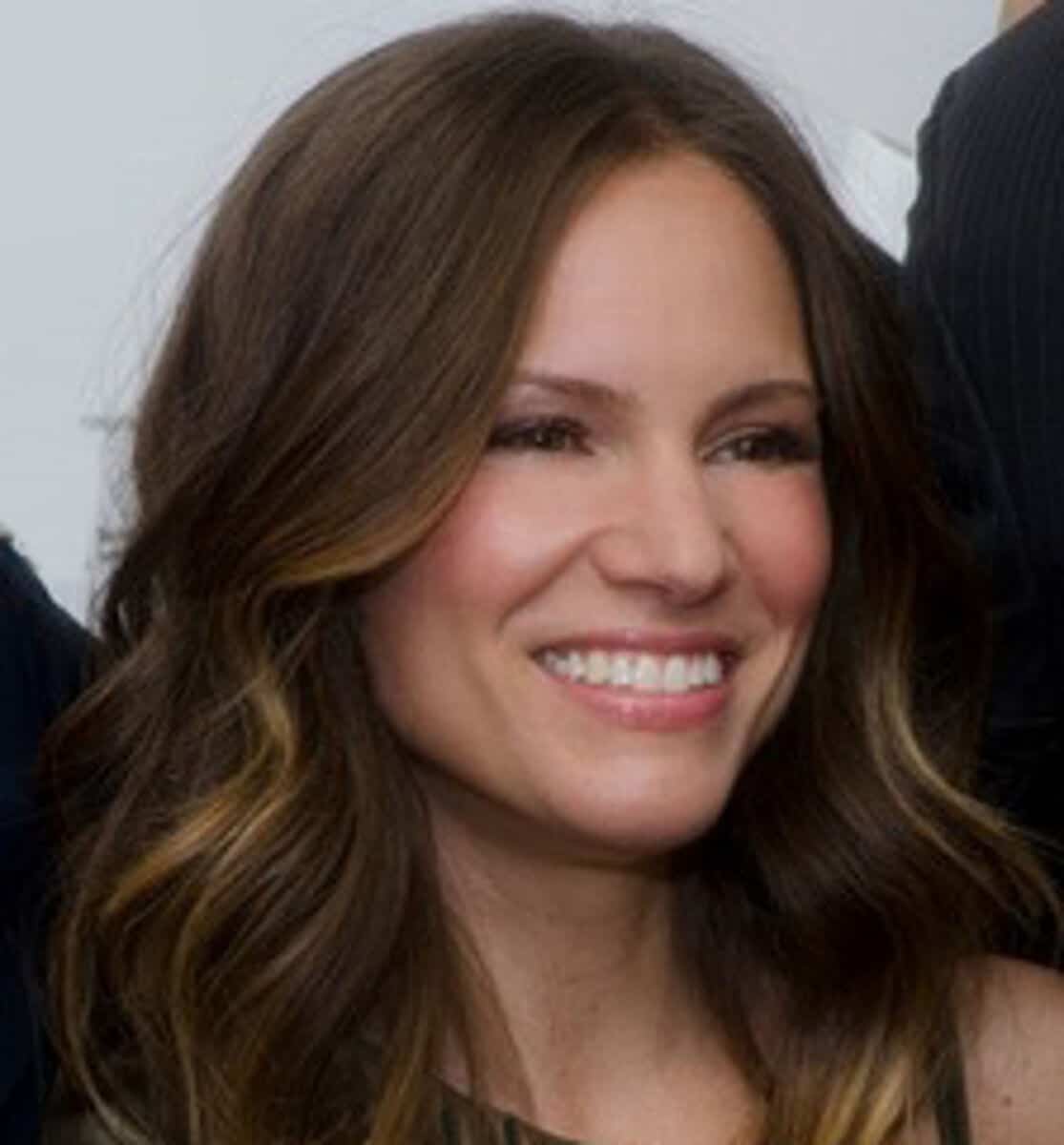 Susan Downey net worth in Business category