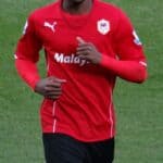Wilfried Zaha - Famous Soccer Player